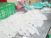 Nhiều triển vọng cho xuất khẩu mực, bạch tuộc