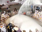 Điểm sáng xuất khẩu  “Quả ngọt” của sự nỗ lực