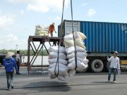 Đa dạng hóa thị trường xuất khẩu