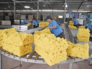 Ngành cao su: Khó khăn kép