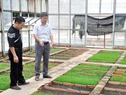 Ngành mía đường - Những “nút thắt” cần tháo gỡ (Kỳ II)
