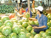 Tìm lối ra cho thị trường nông sản (Kỳ I)