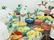 Tìm lối ra cho thị trường nông sản (Kỳ III)