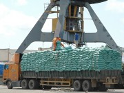 Gia tăng giá trị xuất khẩu nông sản