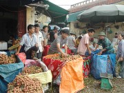 Australia - Thương mại tăng trưởng