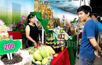 Đồng Tháp đột phá trong kinh tế nông nghiệp theo hướng quy mô lớn, hiện đại