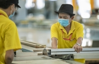 Giải pháp nào để xuất khẩu gỗ đạt 20 tỷ USD vào năm 2025?