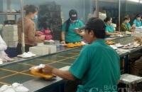 Nhiều ngành gấp rút tìm thị trường cung nguyên liệu, xuất khẩu mới thay thế Trung Quốc