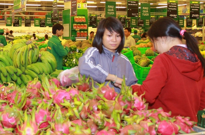 Nhà vườn, doanh nghiệp thanh long tìm hướng “xoay chuyển” tự cứu mình nha vuon doanh nghiep thanh long tim huong xoay chuyen tu cuu minh