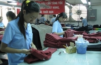 Chặn đà suy giảm, doanh nghiệp dệt may chuyển hướng vào nội địa
