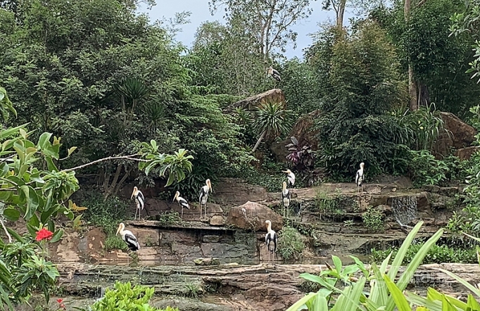 du lich kien giang cang minh ung pho dich