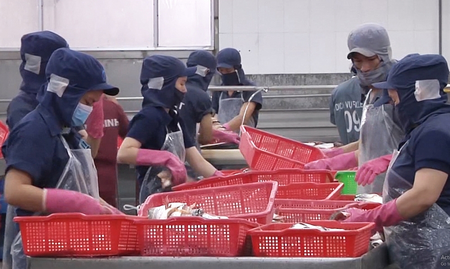 Xuất khẩu thủy sản tăng nhờ “đòn bẩy” của các FTA