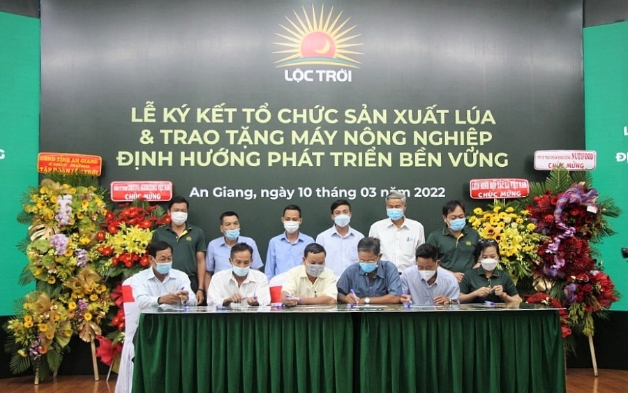 Công ty nông nghiệp Lộc Trời liên kết sản xuất 2 triệu tấn lúa cho nông dân An Giang Công ty nông nghiệp Lộc Trời liên kết sản xuất 2 triệu tấn lúa cho nông dân An Giang