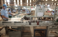 Ứng dụng công nghệ nâng cao năng suất, chất lượng cho ngành chế biến gỗ
