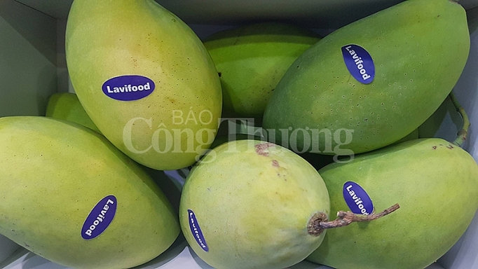 36 quốc gia và vùng lãnh thổ tham gia Food & Hotel Vietnam 2019 36 quoc gia va vung lanh tho tham gia food hotel vietnam 2019