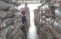 An Giang: Chủ động làm việc với Tham tán thương mại hỗ trợ doanh nghiệp xuất khẩu