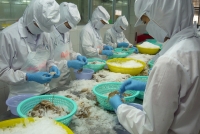 Bến Tre: Hỗ trợ doanh nghiệp phục hồi sản xuất