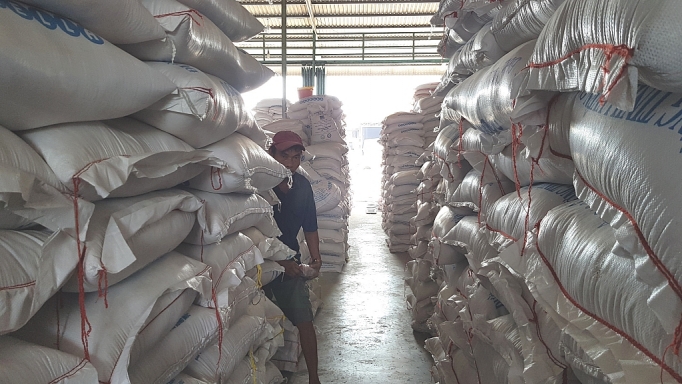 Doanh nghiệp đồng tình với quyết định hạn ngạch xuất khẩu gạo của Bộ Công Thương doanh nghiep dong tinh voi han ngach xuat khau gao cua bo cong thuong