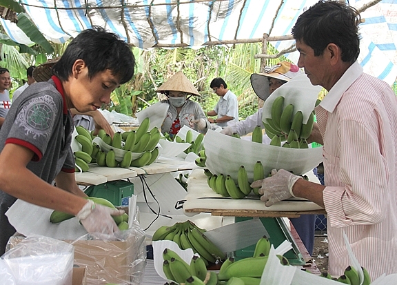 Ngành Công Thương Vĩnh Long - Vượt khó cùng doanh nghiệp nganh cong thuong vinh long vuot kho cung doanh nghiep