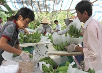 Ngành Công Thương Vĩnh Long - Vượt khó cùng doanh nghiệp