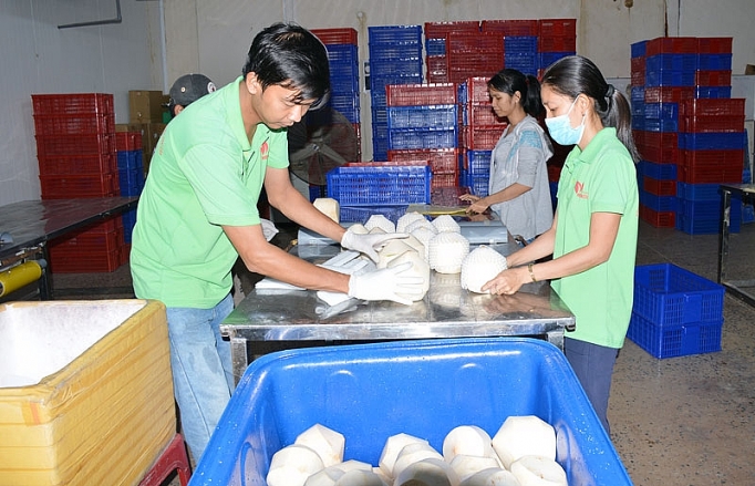 ben tre tang ket noi ho tro doanh nghiep tim thi truong moi