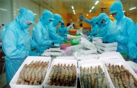 Lực đẩy cho doanh nghiệp  sản xuất, chế biến