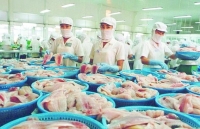 Doanh nghiệp thủy sản tiết kiệm tiền tỷ nhờ giảm giá điện