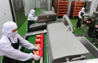 Giảm giá điện - Thêm “trợ lực” cho doanh nghiệp sản xuất, bán lẻ