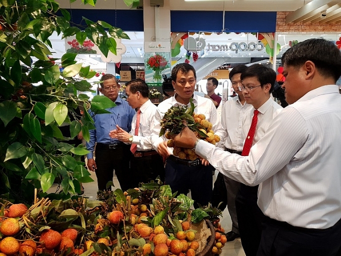 500 tấn vải thiều Lục Ngạn được Saigon Co.op cam kết tiêu thụ 500 tan vai thieu luc ngan duoc saigon coop cam ket tieu thu