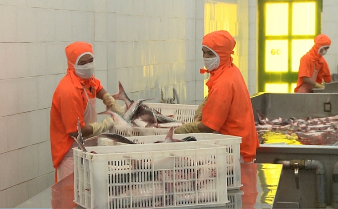 trien vong tang xuat khau ca tra vao trung quoc