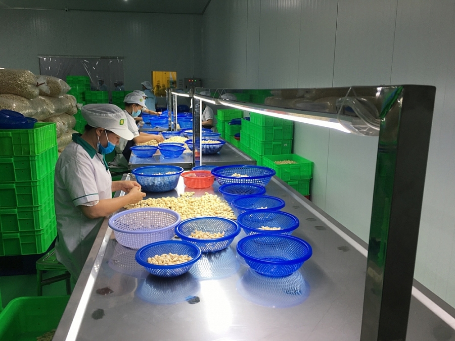 2440 a1400ebfbe5643081a47