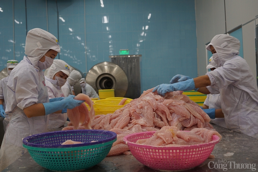 Doanh nghiệp thủy sản mong được tiếp cận vắc-xin sớm Doanh nghiệp thủy sản mong được tiếp cận vắc-xin sớm