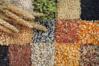 Đầu tháng 7/2021 sẽ diễn ra giao thương trực tuyến giữa doanh nghiệp Việt Nam - Thổ Nhĩ Kỳ