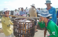 Tuân thủ quy tắc xuất xứ để thủy sản hưởng lợi khi xuất khẩu