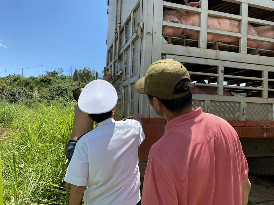 undefined 1054 ynh 3