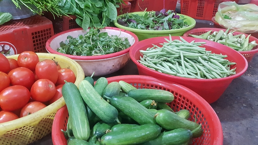 undefined 1808 gia thuc pham hom nay 29