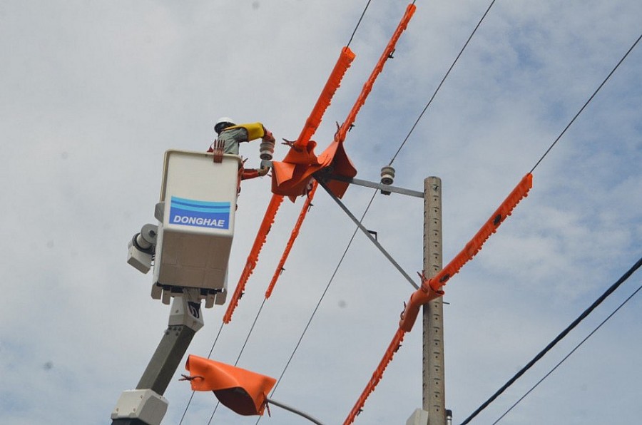 Điện lực Kiên Giang đảm bảo cung cấp điện an toàn cho kỳ thi tốt nghiệp THPT Điện lực Kiên Giang đảm bảo cung cấp điện an toàn cho kỳ thi tốt nghiệp THPT