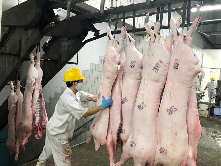 Miền Nam: Giá thịt heo, trứng gia cầm tiếp tục điều chỉnh tăng mạnh Miền Nam: Giá thịt heo, trứng gia cầm tiếp tục điều chỉnh tăng mạnh