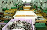 EVFTA mang đến những cơ hội nào cho con tôm Việt?