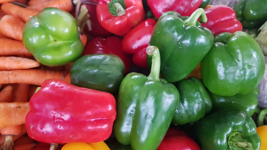 2512 gia thuc pham hom nay