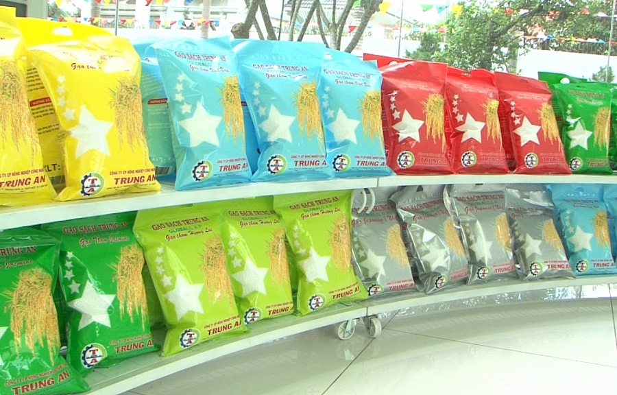 Gạo Việt vào EU đã “hưởng lợi” về giá nhờ hiệu ứng EVFTA gao-viet-vao-eu-da-huong-loi-ve-gia-nho-hieu-ung-evfta