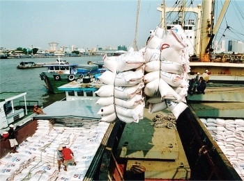 Doanh nghiệp xuất khẩu gạo: Khó chồng khó