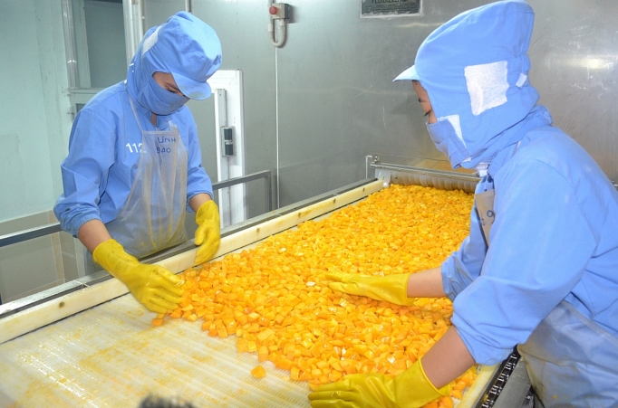 yeu suc canh tranh xuat khau rau qua giam nhe