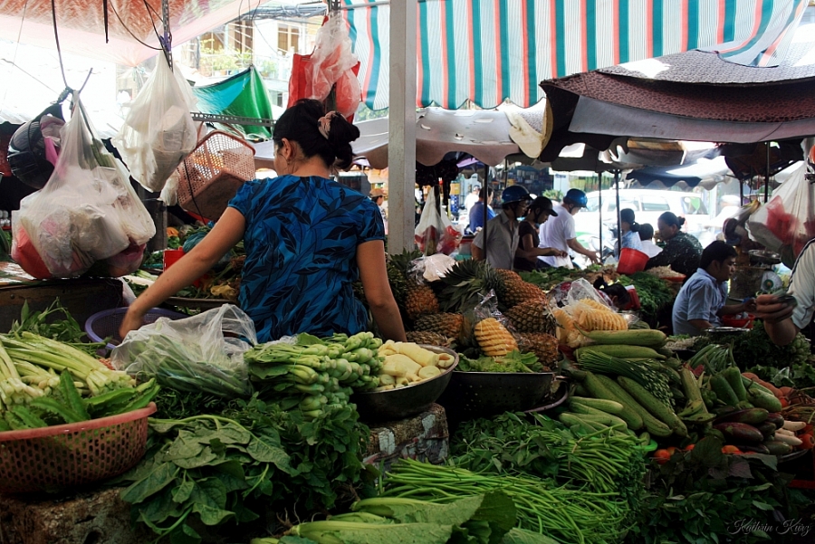 1737-gia-thuc-pham-hom-nay-5