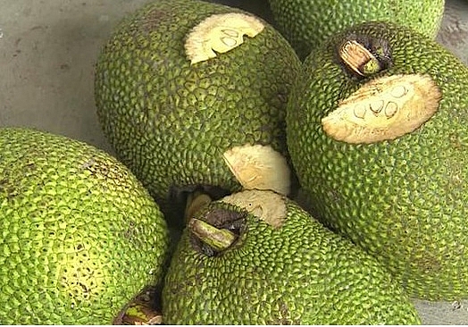 undefined 1754-gia-thuc-pham-hom-nay