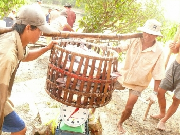Doanh nghiệp thủy sản 