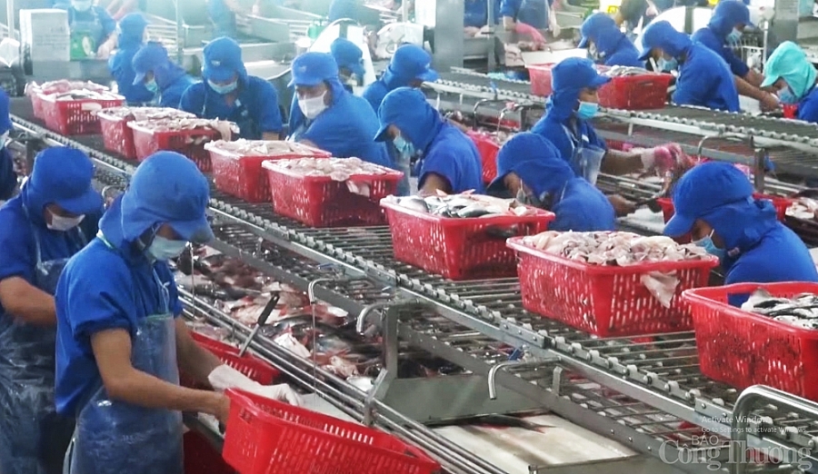 undefined 2631-xuat-khau-thuy-san