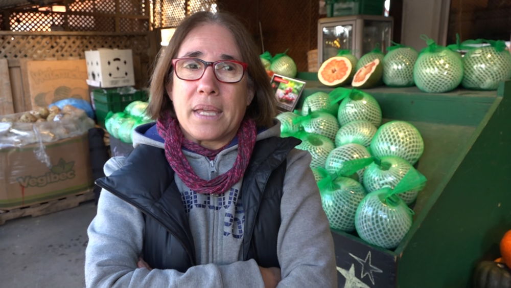 Thanh long và bưởi da xanh của hợp tác xã Việt “lên kệ” siêu thị tại Canada Thanh long và bưởi da xanh của hợp tác xã Việt “lên kệ” siêu thị tại Canada