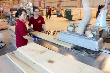 Doanh nghiệp chạy nước rút xuất khẩu cuối năm