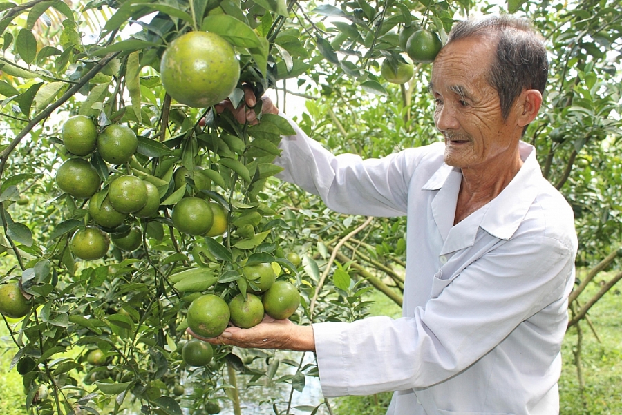 undefined 4502-nong-thon-moi-hau-giang-8